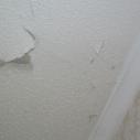HCS inside house textured ceiling falling off